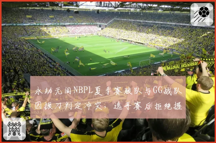 永劫无间NBPL夏季赛狼队与GG战队因振刀判定冲突，选手赛后拒绝握手